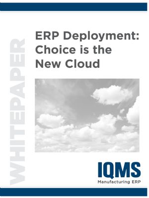 ERP Deployment: Choice is the New Cloud