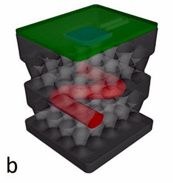 figure 2b