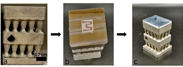 figure1abc_scale